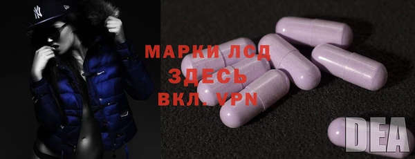 спиды Инта